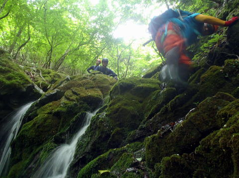 2017.6.18　シダクラ沢（沢登り）