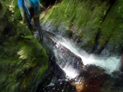 2017.6.24　坊主谷（沢登り）