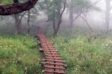 2016.9.18　檜洞丸（尾根歩き）