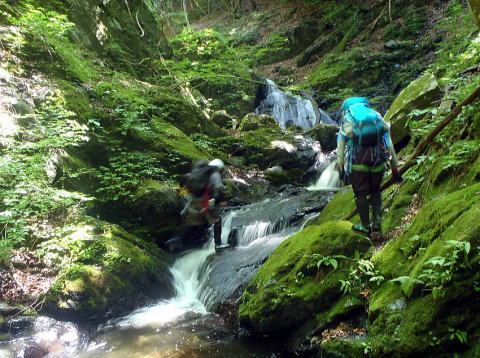 2017.6.24　坊主谷（沢登り）