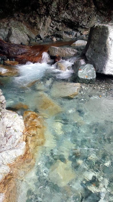 2016.9.18　檜洞丸（尾根歩き）