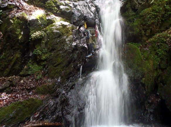 2017.6.24　坊主谷（沢登り）