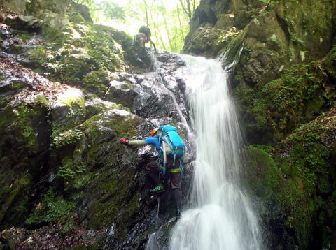 2017.6.24　坊主谷（沢登り）