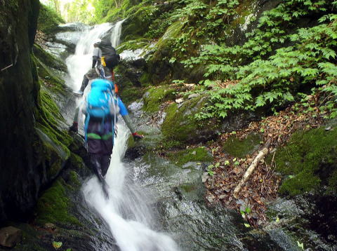 2017.6.24　坊主谷（沢登り）
