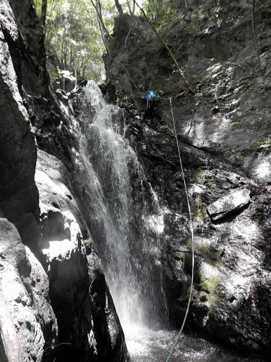 2017.6.24　坊主谷（沢登り）