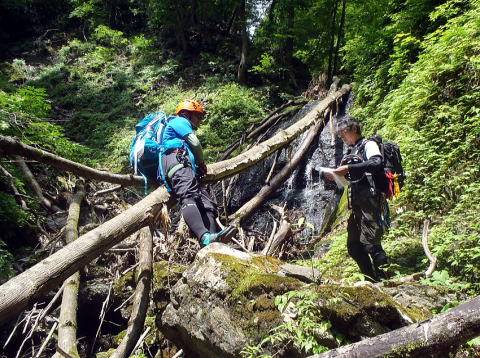 2017.6.24　坊主谷（沢登り）