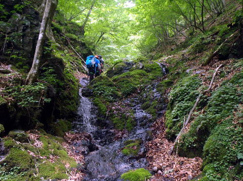 2017.6.24　坊主谷（沢登り）