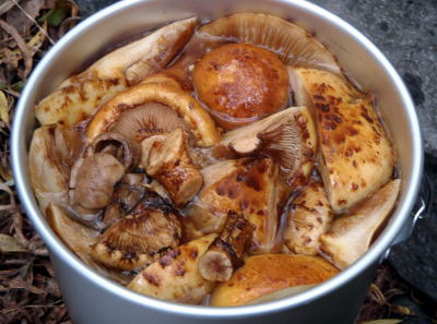 2016.10.8～10　阿弥陀岳南稜＆中央稜（尾根歩き）