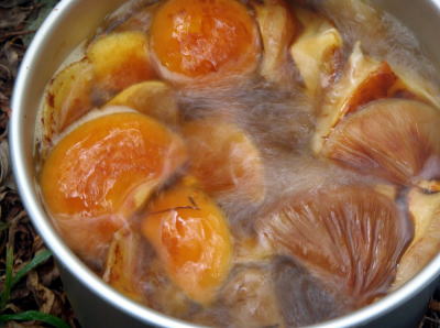 2016.10.8～10　阿弥陀岳南稜＆中央稜（尾根歩き）