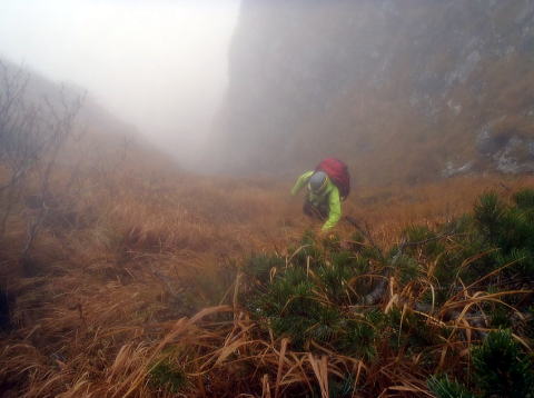 2016.10.8～10　阿弥陀岳南稜＆中央稜（尾根歩き）