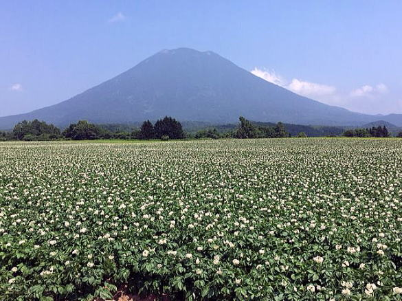 2017.7.24　羊蹄山（尾根歩き）