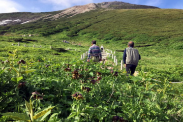 2017.7.27-29　白山（尾根歩き）