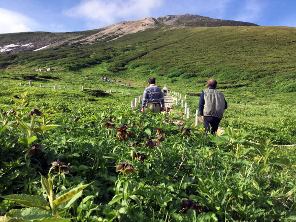2017.7.27-29　白山（尾根歩き）