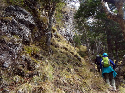 2016.10.8～10　阿弥陀岳南稜＆中央稜（尾根歩き）