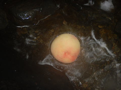 2017.7.29　水根沢谷（沢登り）