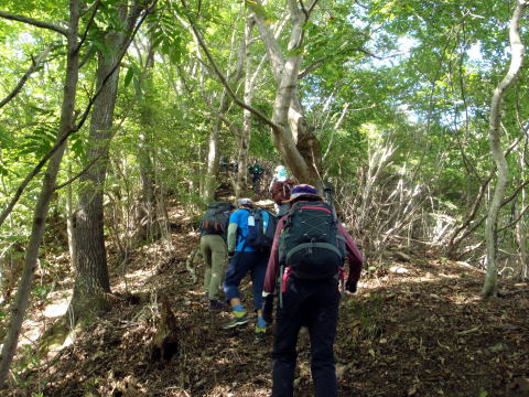 2016.10.16　高柄山（尾根歩き）