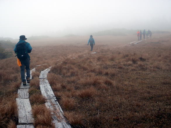 2016.10.22-23　南会津・茅刈り＆田代山～帝釈山（尾根歩き・イベント）