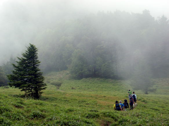 2017.8.20　牛奥ノ雁ヶ腹山（尾根歩き）