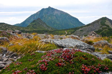 2017.8.28-29　ニペソツ山（尾根歩き）