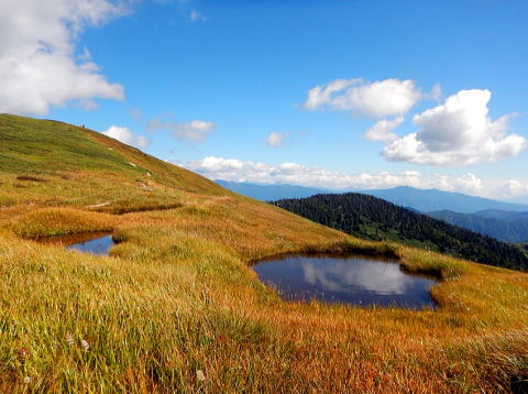 2017.9.9　米子沢（沢登り）