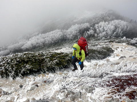 2016.11.3-7　中央アルプス縦走（将棋頭山 木曽駒ヶ岳 宝剣岳 空木岳 南駒ヶ岳 越百山 念丈岳 大島山 本高森山）（尾根歩き）