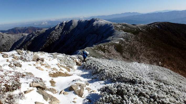 2016.11.3-7　中央アルプス縦走（将棋頭山 木曽駒ヶ岳 宝剣岳 空木岳 南駒ヶ岳 越百山 念丈岳 大島山 本高森山）（尾根歩き）