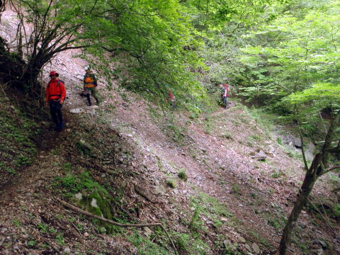 2016.6.12　水無川本谷（F5まで）＆丹沢 懸垂岩（沢登り）