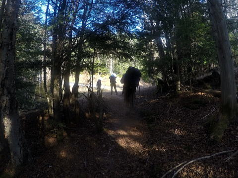 2016.11.5-6　瑞牆山 金峰山（尾根歩き）