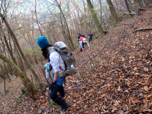 2016.11.20　六ツ石山（尾根歩き）