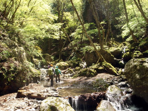 2016.4.29　倉沢長尾谷（沢登り）
