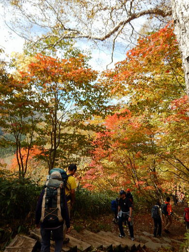 2017.10.8-9　尾瀬ヶ原（尾根歩き）