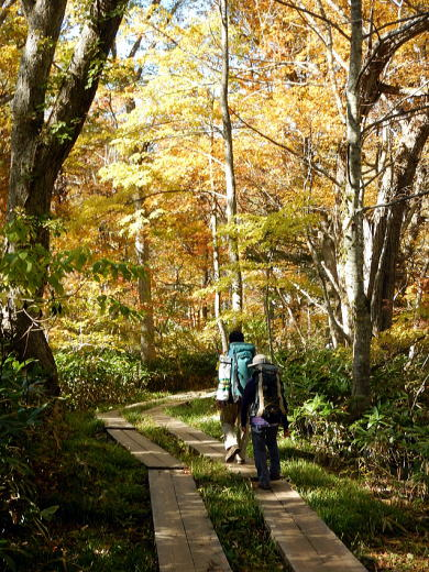 2017.10.8-9　尾瀬ヶ原（尾根歩き）