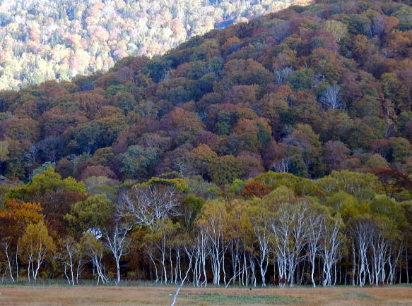 2017.10.8-9　尾瀬ヶ原（尾根歩き）