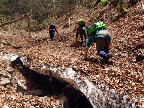 2016.4.29　倉沢長尾谷（沢登り）