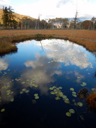 2017.10.8-9　尾瀬ヶ原（尾根歩き）