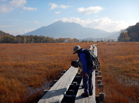 2017.10.8-9　尾瀬ヶ原（尾根歩き）