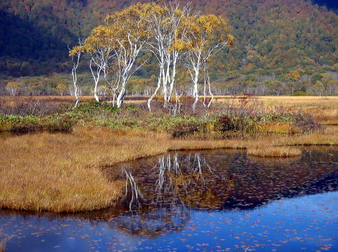 2017.10.8-9　尾瀬ヶ原（尾根歩き）