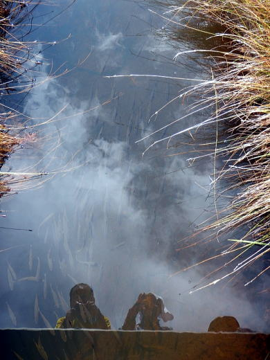 2017.10.8-9　尾瀬ヶ原（尾根歩き）