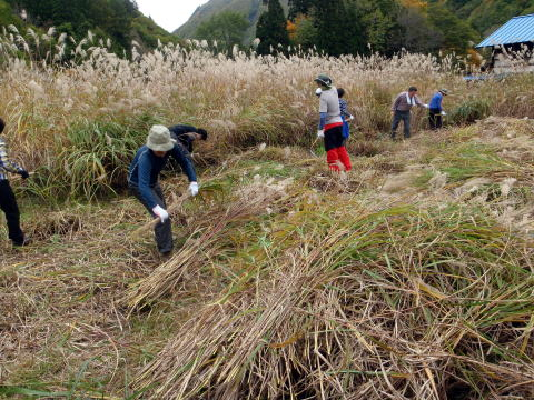 2017.10.21-22　会津・水引集落茅刈り手伝い（イベント）