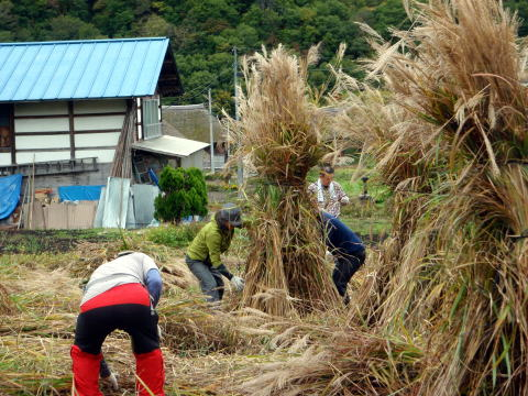 2017.10.21-22　会津・水引集落茅刈り手伝い（イベント）
