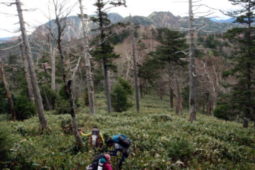 2017.11.3-5　皇海山（尾根歩き）