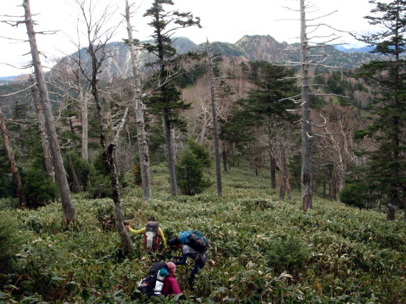 2017.11.3-5　皇海山（尾根歩き）