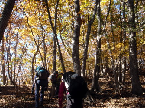 2017.11.3-5　皇海山（尾根歩き）