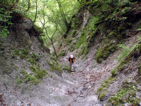 2016.6.19　伊勢沢ノ頭（尾根歩き）