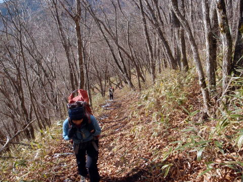 2017.2.25 道志 今倉山(尾根歩き)
