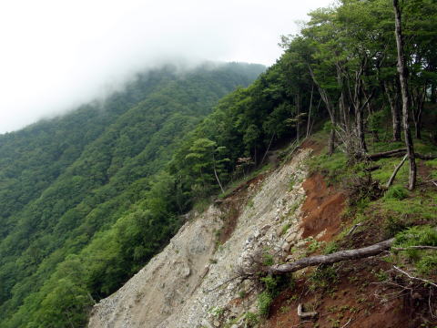 2016.6.19　伊勢沢ノ頭（尾根歩き）