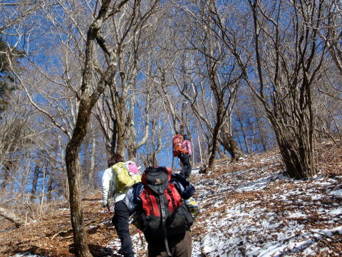 2017.2.25 道志 今倉山(尾根歩き)