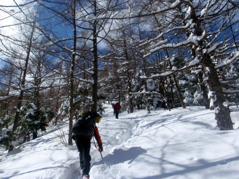 2014.3.8-9　三ツ頭・権現岳（雪山）