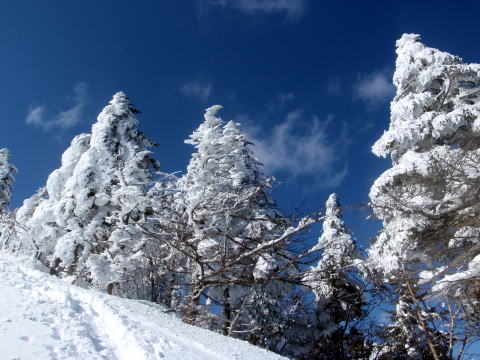 2014.3.8-9　三ツ頭・権現岳（雪山）