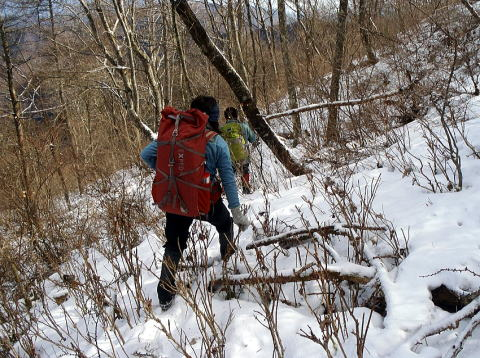 2017.2.25 道志 今倉山(尾根歩き)